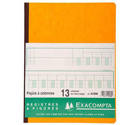 registre-piq-re-exacompta-colo-nnes-250x320mm-33-lignes-13-colonnes-2-pages-80-pages