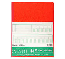 registre-piq-re-exacompta-colo-nnes-250x320mm-33-lignes-19-colonnes-2-pages-80-pages