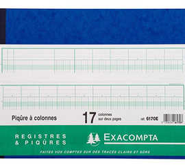 registre-piq-re-exacompta-colo-nnes-320x250mm-24-lignes-17-colonnes-2-pages-80-pages