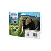 Epson C13T24384011 Pack Elephant XL