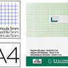 REGISTRE STANDARD EXACOMPTA 21 0X297MM 5X5MM FOLIOTA VERTICAL 200 PAGES