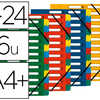 TRIEUR EXACOMPTA HARMONIKA CAR TE LUSTRAE 5.5/10E A4+ 24 COMPARTIMENTS A FENÊTRE ELASTIQUES DOS EXTENSIBLE