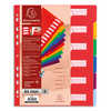 INTERCALAIRE EXACOMPTA POLYPRO PYLENE 12/100E 6 TOUCHES A4+ COLORIS ASSORTIS