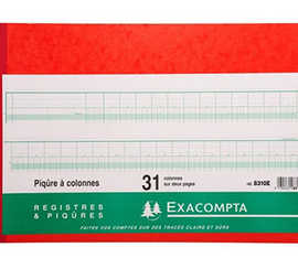 registre-piq-re-exacompta-colo-nnes-320x280mm-31-lignes-31-colonnes-2-pages-80-pages