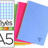 CAHIER CLAIREFONTAINE LINICOLO R RELIURE INTAGRALE ASSORTIMENT FRESH A5 14,8X21CM 100 PAGES 90G SAYES