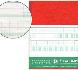 manifold-comptable-exacompta-p-iqua-t-te-paresseuse-320x250mm-vertical-31-lignes-80-pages-6-colonnes-page