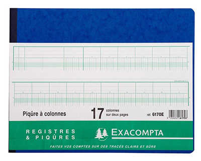 registre-piq-re-exacompta-colo-nnes-320x250mm-24-lignes-17-colonnes-2-pages-80-pages