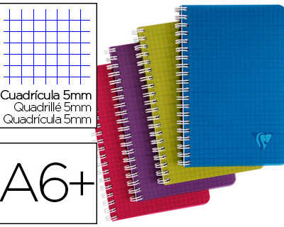 carnet-clairefontaine-linicolor-intense-reliure-int-grale-11x17cm-100-pages-90g-quadrillage-5mm-coloris-assortis