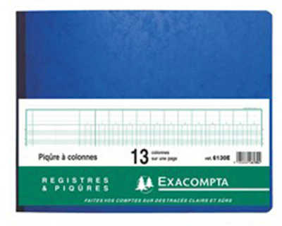 registre-piq-re-exacompta-colo-nnes-320x250mm-31-lignes-13-colonnes-page-80-pages