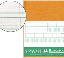 manifold-comptable-exacompta-p-iqua-t-te-paresseuse-320x250mm-vertical-31-lignes-80-pages-16-colonnes-2-pages